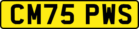CM75PWS
