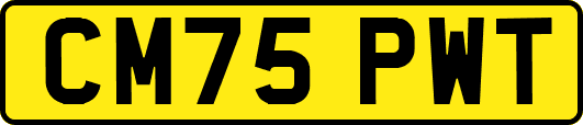 CM75PWT