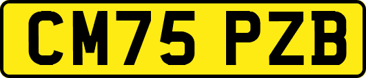 CM75PZB