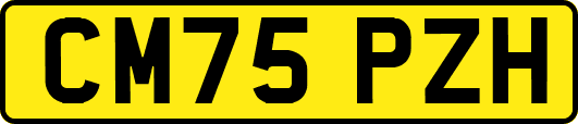 CM75PZH
