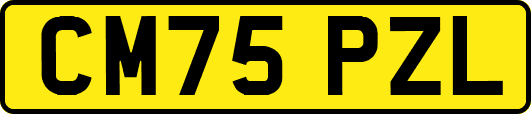 CM75PZL