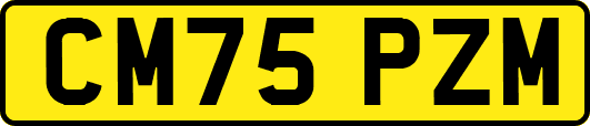 CM75PZM