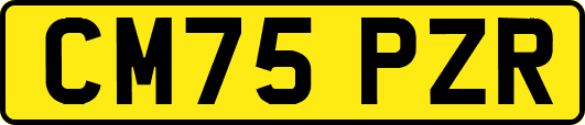 CM75PZR