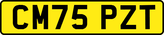 CM75PZT