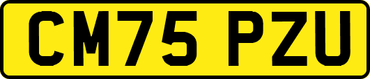 CM75PZU