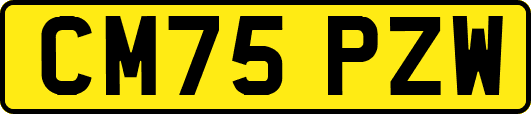 CM75PZW