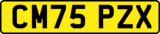 CM75PZX