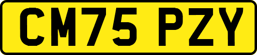 CM75PZY
