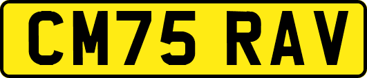 CM75RAV