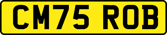 CM75ROB