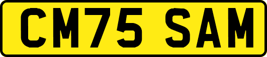 CM75SAM