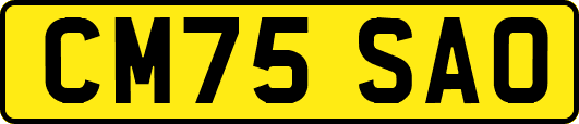 CM75SAO