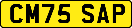 CM75SAP