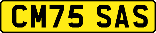 CM75SAS