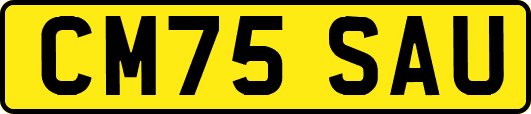 CM75SAU