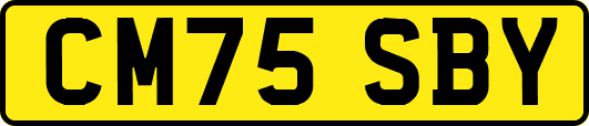 CM75SBY