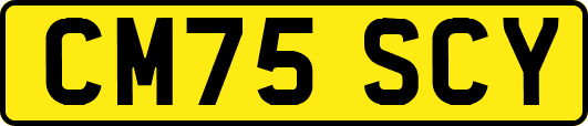 CM75SCY