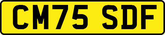 CM75SDF