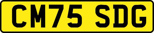 CM75SDG
