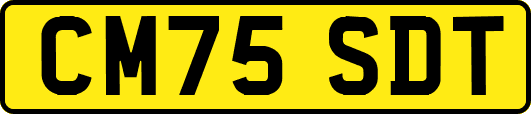 CM75SDT