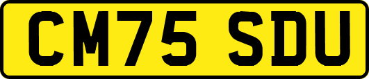 CM75SDU