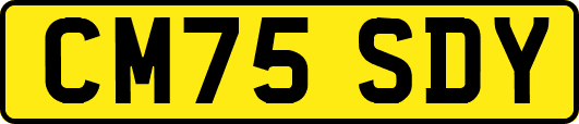 CM75SDY