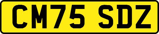 CM75SDZ
