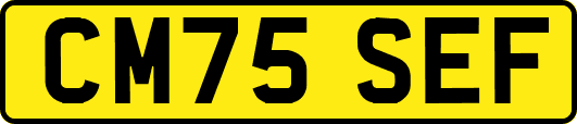 CM75SEF