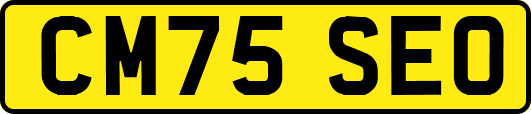 CM75SEO