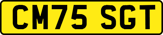 CM75SGT