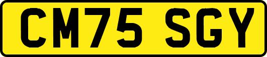 CM75SGY
