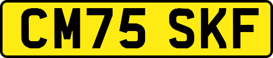 CM75SKF