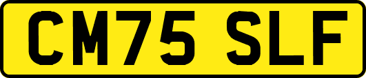CM75SLF