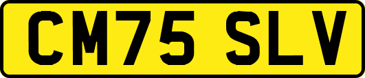 CM75SLV