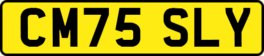 CM75SLY