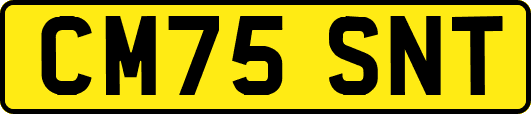 CM75SNT
