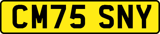 CM75SNY