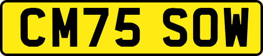 CM75SOW
