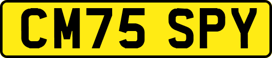 CM75SPY
