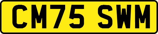 CM75SWM