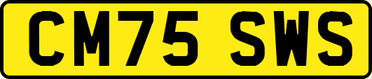 CM75SWS
