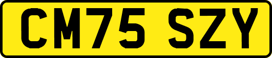 CM75SZY
