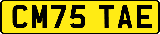 CM75TAE