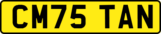 CM75TAN