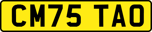 CM75TAO