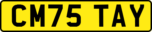 CM75TAY