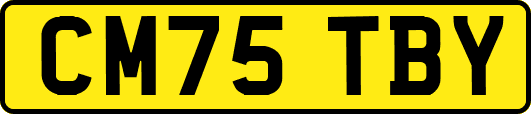 CM75TBY