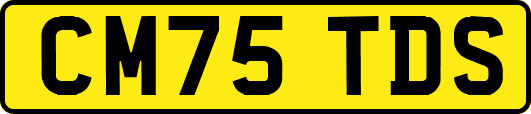 CM75TDS