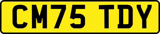 CM75TDY