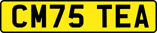 CM75TEA